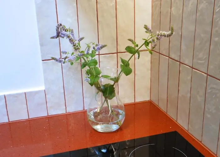 Daina Self Check-in דירה *