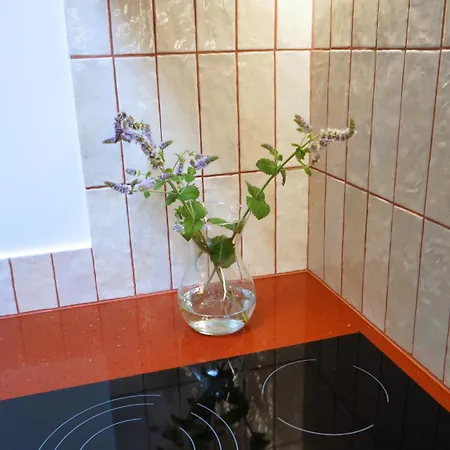 Daina Self Check-in Appartement *